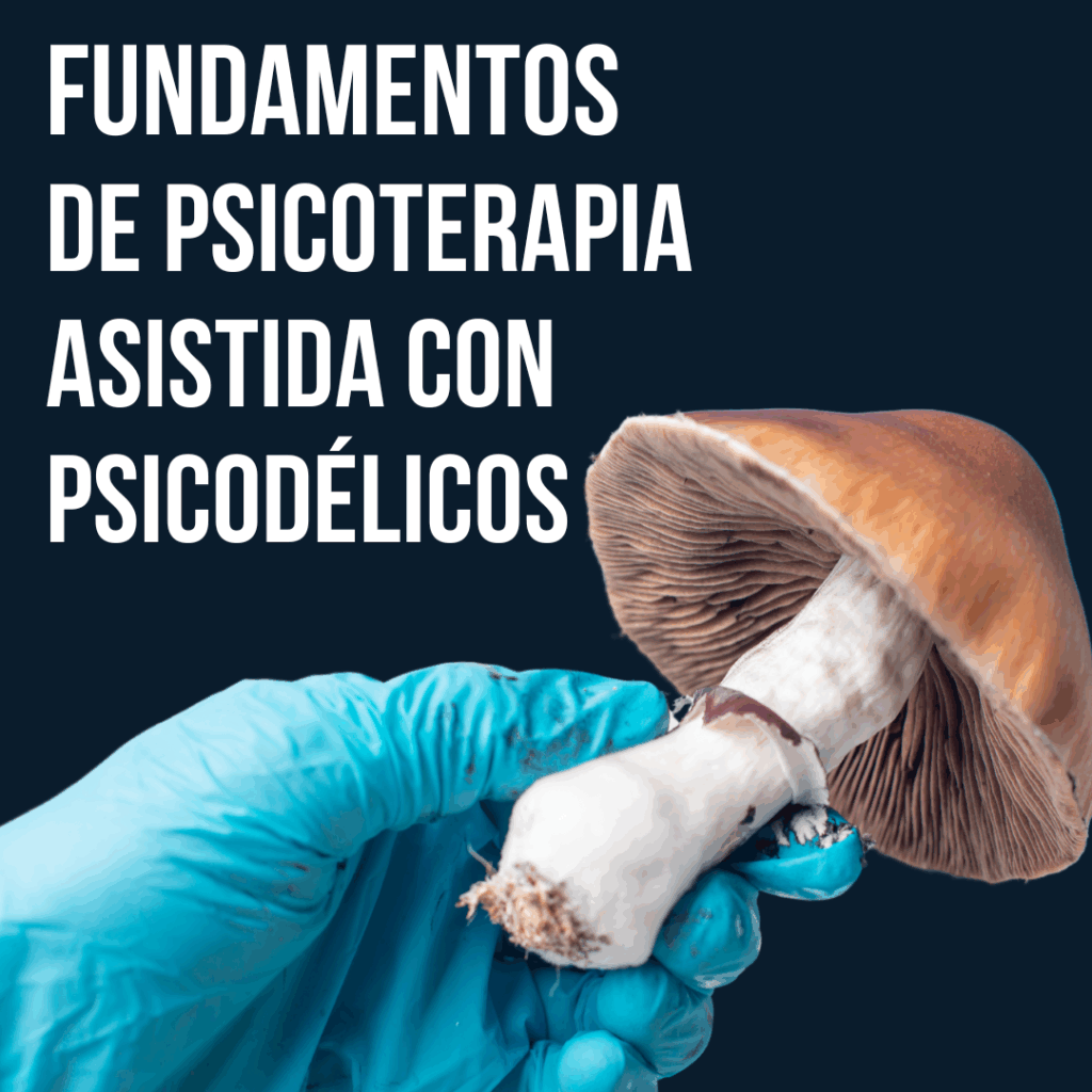 ¿En qué consiste la terapia asistida con psicodélicos?