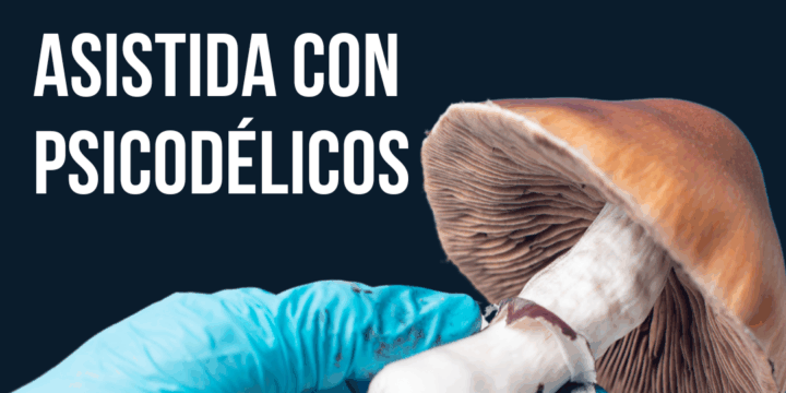 ¿En qué consiste la terapia asistida con psicodélicos?